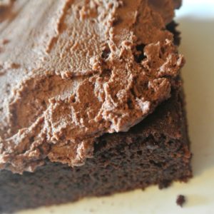 Coconut Flour Brownies. Paleo brownies with no refined sugar, and gluten free! From Fit Mom Journey!