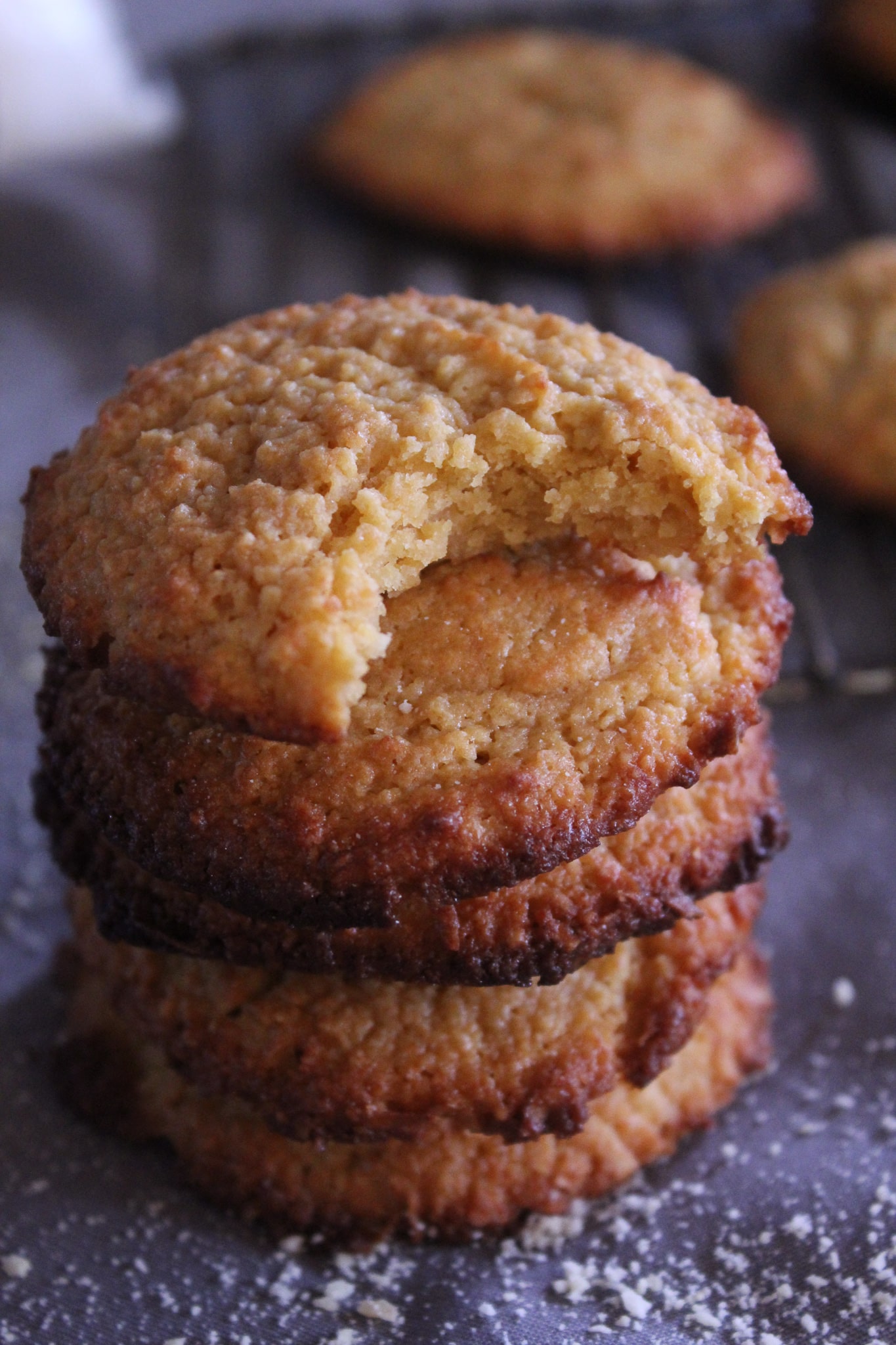 keto oatmeal raisin cookies recipe