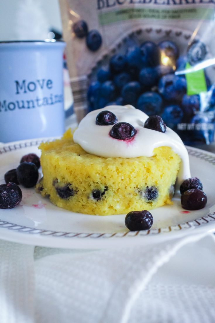 Keto Blueberry Mug Cake Fit Mom Journey