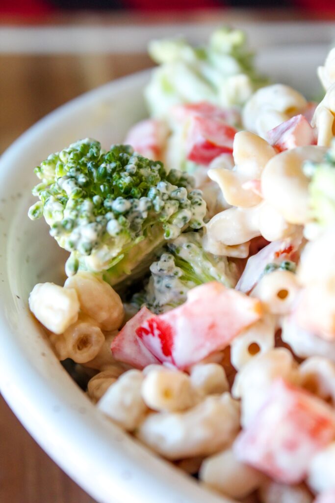 The perfect side dish for burgers off the grill, pork steaks, or smoked ribs, Keto Macaroni Salad is made with red peppers, broccoli, avocado oil mayo, and low carb noodles. An indulgent side dish for summer!