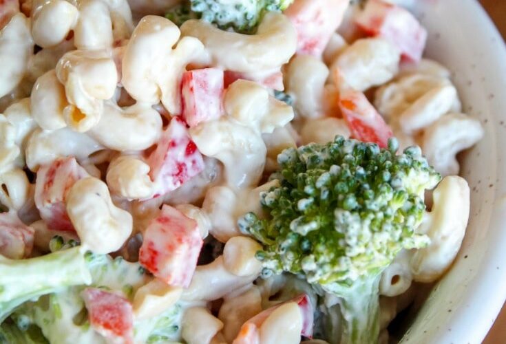 The perfect side dish for burgers off the grill, pork steaks, or smoked ribs, Keto Macaroni Salad is made with red peppers, broccoli, avocado oil mayo, and low carb noodles. An indulgent side dish for summer!