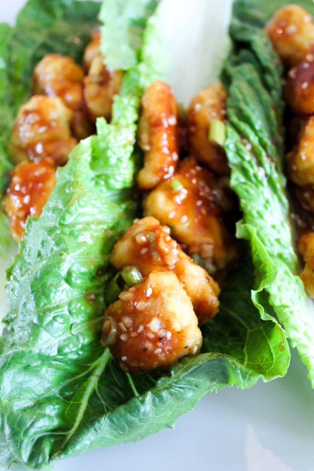 Keto Sesame Chicken Fit Mom Journey