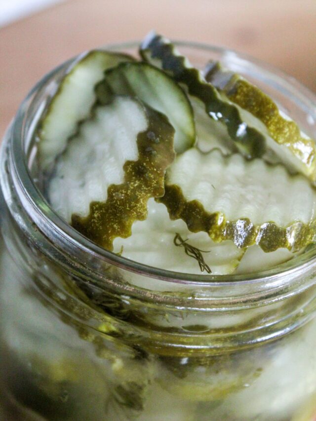 cropped-Quick-Easy-Keto-Refrigerator-Pickles-sugar-free-20-min-scaled-1.jpg